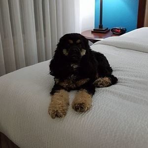 Meet your Posher, Connie